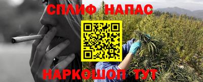 шишки Можайск