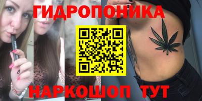 дмт Можга