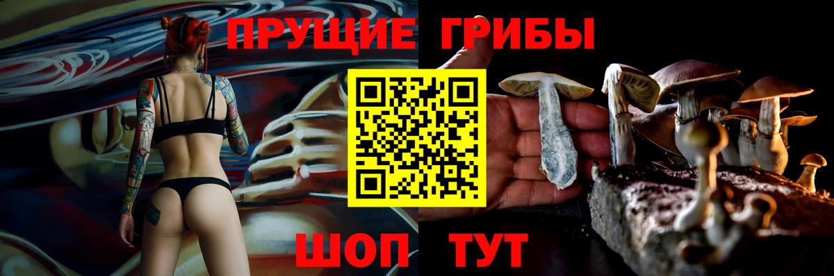 Выкса  Галлюциногенные грибы прущие грибы  Вход с VPN 